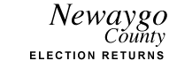 City of Newaygo 1999 Election - Tuesday, November 02, 1999